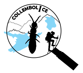 CollembolICE