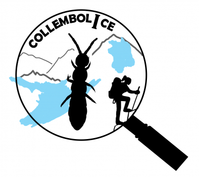 CollembolICE